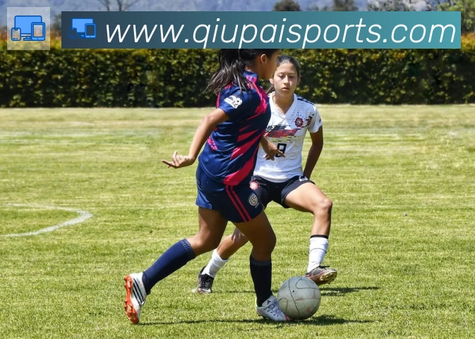 球派体育平台生态图