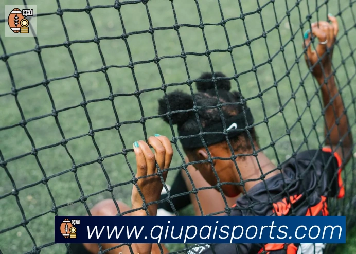 球派体育APP 封面图