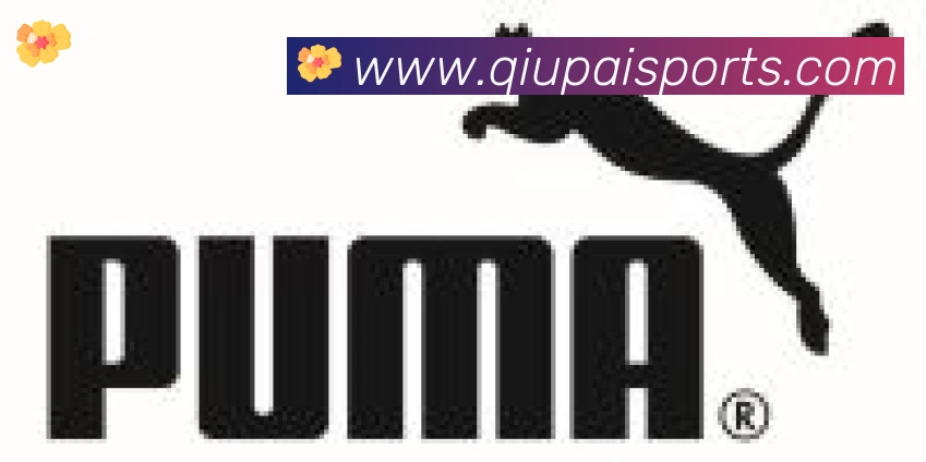 球派体育合作伙伴